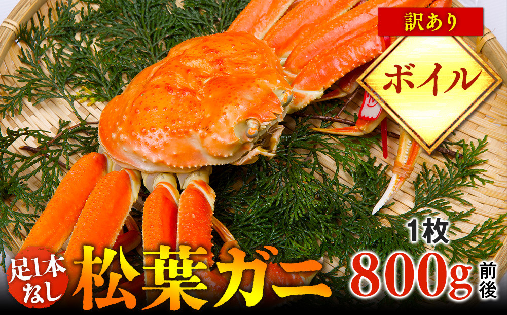 【ボイル】足1本なし　訳あり　松葉ガニ　大1枚（800g前後）【着日指定不可】※2025年11月上旬～2026年3月下旬頃に順次発送予定《かに カニ 蟹》