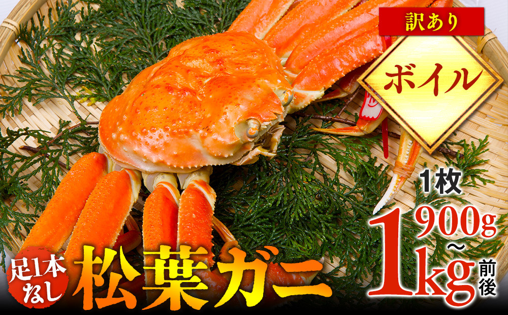 【ボイル】足1本なし　訳あり　松葉ガニ　特大1枚（900g～1kg前後）【着日指定不可】※2025年11月上旬～2026年3月下旬に順次発送予定【蟹&nbsp;かに&nbsp;松葉ガニ&nbsp;松葉蟹&nbsp;鳥取県産&nbsp;国産&nbsp;松葉ガニ&nbsp;北栄町&nbsp;おすすめ&nbsp;人気】