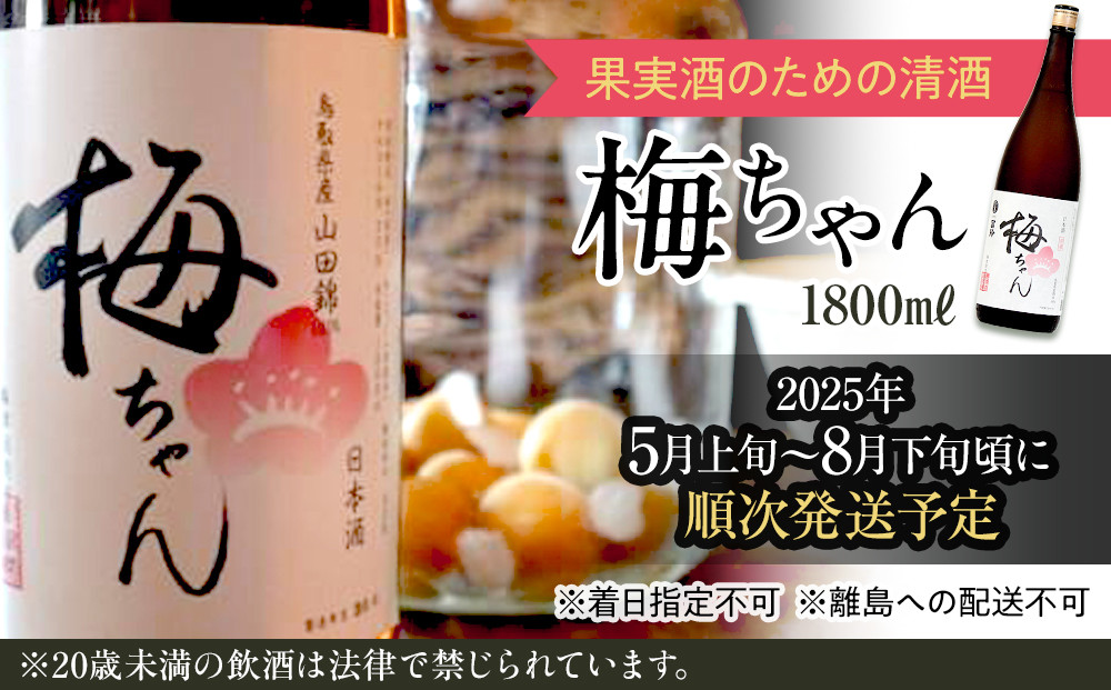 672. 果実酒のための清酒『梅ちゃん』※着日指定不可 ※離島への配送不可 ※2025年5月上旬～8月下旬頃に順次発送予定 | お酒 果実酒 アルコール 飲み比べ セット 鳥取県 北栄町 おすすめ 人気  