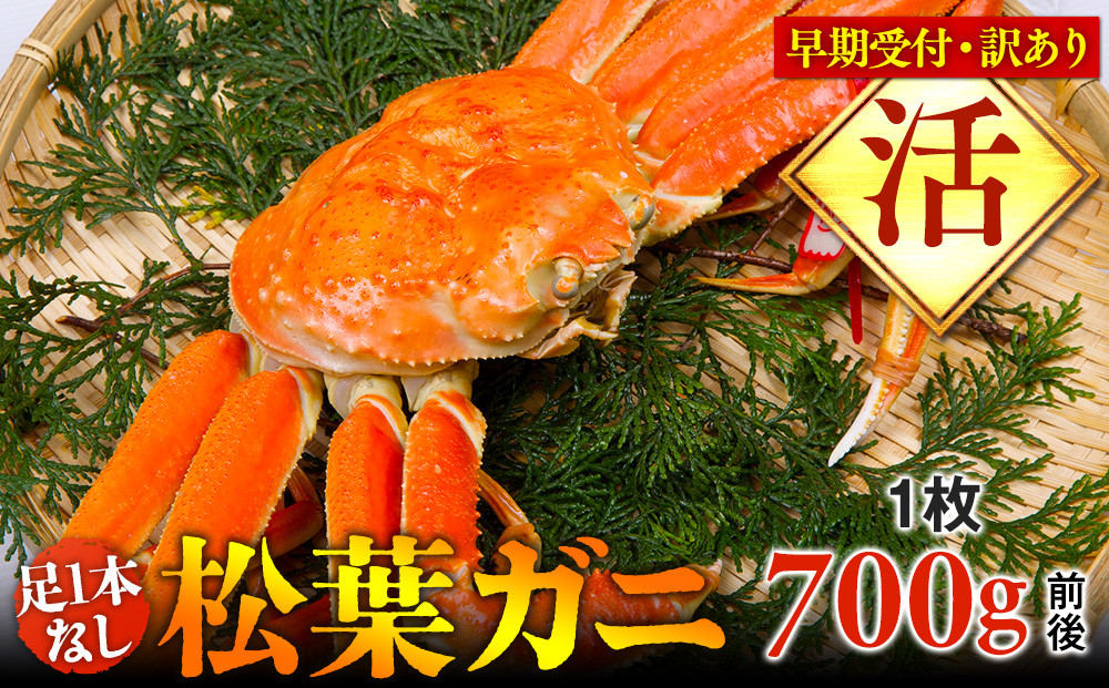 【早期受付】【活】足1本なし　訳あり　松葉ガニ　中1枚（700g前後）《かに&nbsp;カニ&nbsp;蟹&nbsp;ズワイガニ&nbsp;》※着日指定不可※2025年11月上旬頃から順次発送予定【蟹&nbsp;かに&nbsp;松葉ガニ&nbsp;松葉蟹&nbsp;鳥取県産&nbsp;国産&nbsp;松葉ガニ&nbsp;北栄町&nbsp;おすすめ&nbsp;人気】