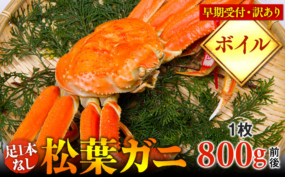 【早期受付】【ボイル】足1本なし　訳あり　松葉ガニ　大1枚（800g前後）《かに&nbsp;カニ&nbsp;蟹&nbsp;ズワイガニ&nbsp;》※着日指定不可※2025年11月上旬頃から順次発送予定【蟹&nbsp;かに&nbsp;松葉ガニ&nbsp;松葉蟹&nbsp;鳥取県産&nbsp;国産&nbsp;松葉ガニ&nbsp;北栄町&nbsp;おすすめ&nbsp;人気】