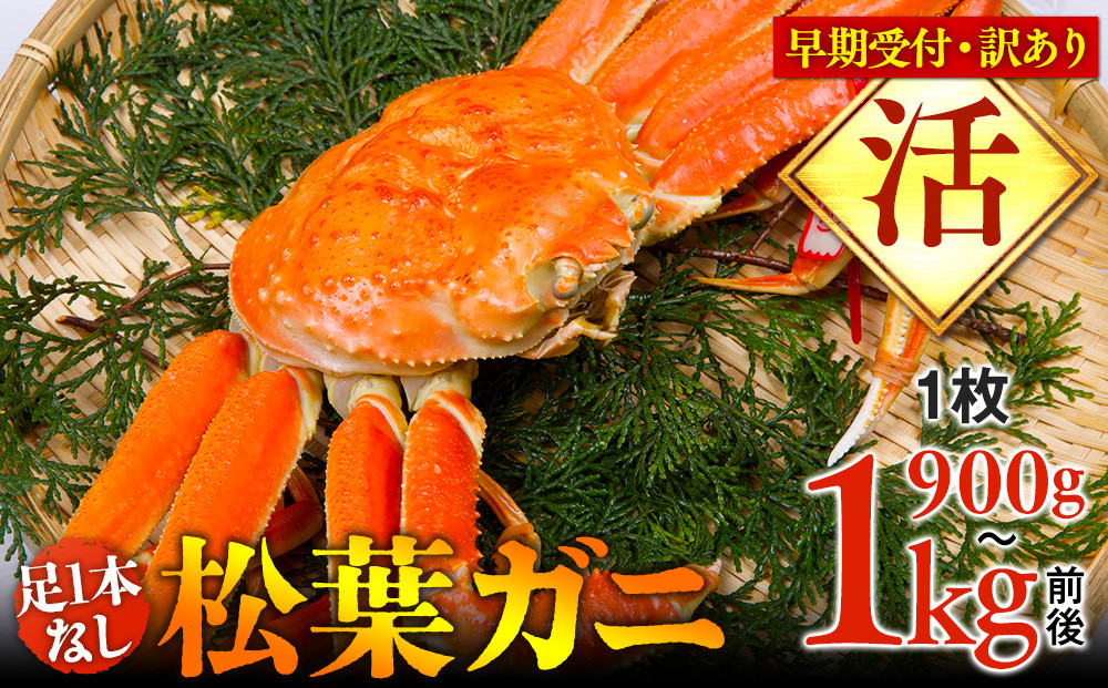【早期受付】【活】足1本なし　訳あり　松葉ガニ　特大1枚（900g～1kg前後）《かに&nbsp;カニ&nbsp;蟹&nbsp;ズワイガニ&nbsp;》※着日指定不可※2025年11月上旬頃から順次発送予定【蟹&nbsp;かに&nbsp;松葉ガニ&nbsp;松葉蟹&nbsp;鳥取県産&nbsp;国産&nbsp;松葉ガニ&nbsp;北栄町&nbsp;おすすめ&nbsp;人気】