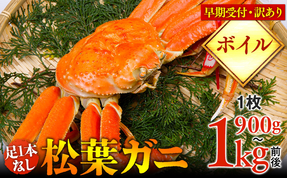 【早期受付】【ボイル】足1本なし　訳あり　松葉ガニ　特大1枚（900g～1kg前後）《かに&nbsp;カニ&nbsp;蟹&nbsp;ズワイガニ&nbsp;》※着日指定不可※2025年11月上旬頃から順次発送予定【蟹&nbsp;かに&nbsp;松葉ガニ&nbsp;松葉蟹&nbsp;鳥取県産&nbsp;国産&nbsp;松葉ガニ&nbsp;北栄町&nbsp;おすすめ&nbsp;人気】