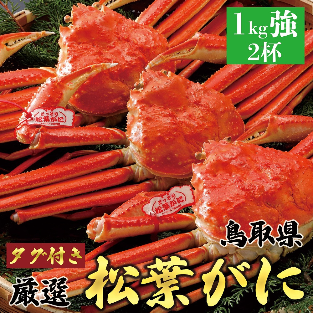 755.【ボイル】【2025年12月～2026年1月発送】特撰 松葉がに【ブランドタグ付き】 特大2杯（1kg超×2杯）