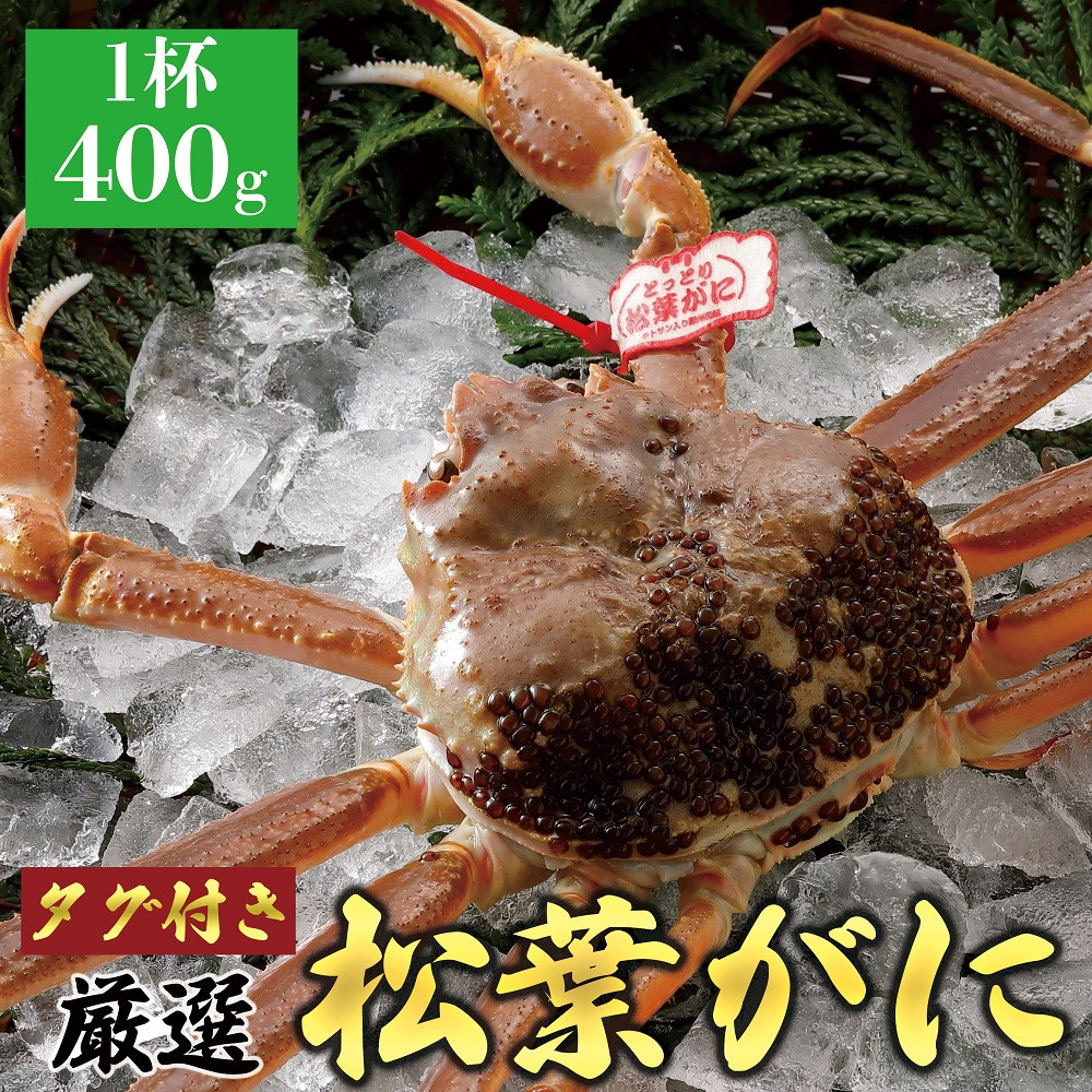 774.【活】≪2025年12月～2026年1月発送≫&nbsp;特撰&nbsp;松葉がに【ブランドタグ付き】&nbsp;400g超×1杯