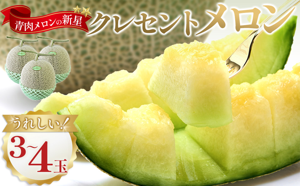 785.【先行予約】青肉メロンの新星「クレセントメロン」うれしい！3~4玉入　※2026年７月中旬より順次発送【メロン&nbsp;くだもの&nbsp;果物&nbsp;フルーツ&nbsp;甘い&nbsp;先行予約&nbsp;鳥取県&nbsp;北栄町&nbsp;おすすめ&nbsp;人気】