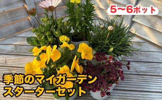 809.季節のマイガーデン・スターターセット　※離島への配送不可