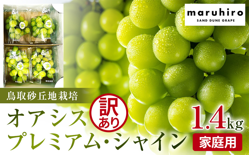 915.【先行予約】シャインマスカット&nbsp;訳あり&nbsp;家庭用&nbsp;鳥取砂丘地産&nbsp;1.4kg（350g×4パック）&nbsp;※離島への配送不可&nbsp;※2026年8月下旬～10月下旬頃に順次発送予定&nbsp;｜&nbsp;シャインマスカット&nbsp;マスカット&nbsp;オアシスプレミアムシャイン&nbsp;葡萄&nbsp;ブドウ&nbsp;ぶどう&nbsp;産地直送&nbsp;フルーツ&nbsp;果物&nbsp;甘い&nbsp;鳥取県&nbsp;北栄町&nbsp;おすすめ&nbsp;人気