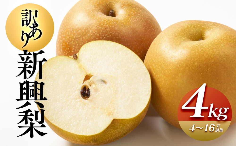 【訳あり】新興梨&nbsp;4kg（4～16玉前後）※2026年10月上旬～11月下旬頃に順次発送予定【先行予約&nbsp;梨&nbsp;なし&nbsp;果物&nbsp;フルーツ&nbsp;くだもの&nbsp;鳥取県&nbsp;北栄町&nbsp;おすすめ&nbsp;人気&nbsp;送料無料】
