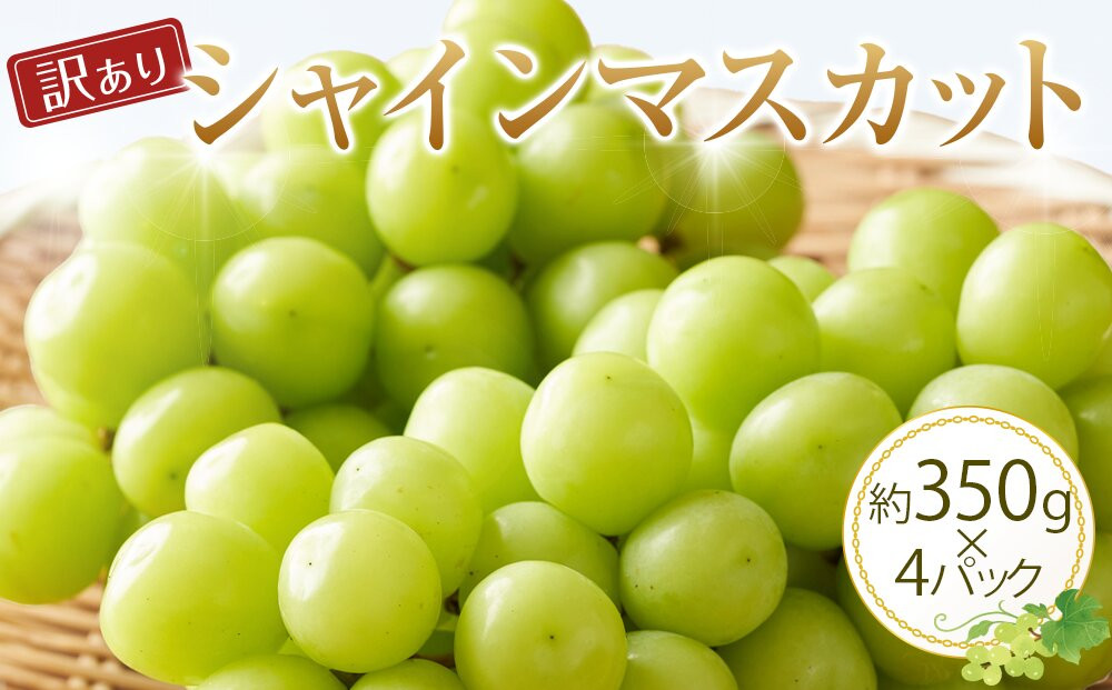 【訳あり】シャインマスカット&nbsp;350g前後×4パック&nbsp;※2026年8月下旬頃～9月下旬頃に順次発送予定【先行予約&nbsp;シャインマスカット&nbsp;マスカット&nbsp;葡萄&nbsp;ぶどう&nbsp;果物&nbsp;フルーツ&nbsp;くだもの&nbsp;鳥取県&nbsp;北栄町&nbsp;おすすめ&nbsp;人気&nbsp;送料無料】