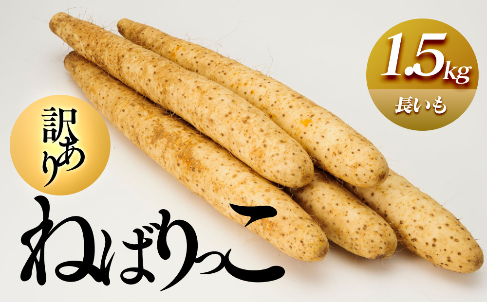 942.≪先行受注≫【訳あり】ねばりっこ1.5kg&nbsp;長芋&nbsp;ながいも&nbsp;鳥取県産&nbsp;※期間限定11月上旬から4月中旬頃に順次発送予定【野菜&nbsp;やさい&nbsp;根菜&nbsp;とろろ&nbsp;長芋&nbsp;芋&nbsp;いも&nbsp;鳥取県&nbsp;北栄町&nbsp;おすすめ&nbsp;人気&nbsp;送料無料】