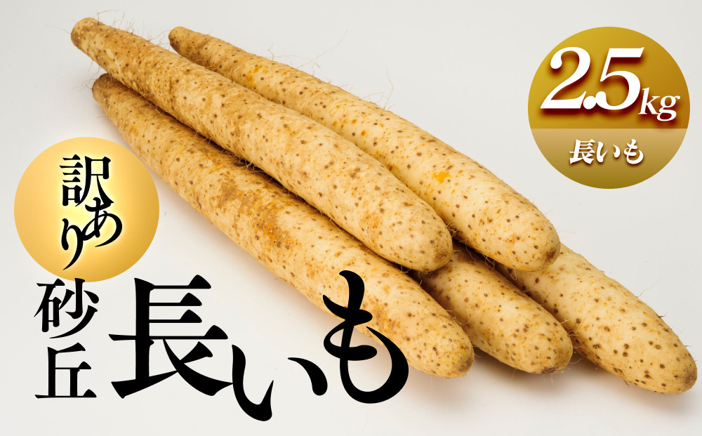 943.【訳あり】砂丘長いも2.5kg&nbsp;&nbsp;長芋&nbsp;ながいも&nbsp;鳥取県産&nbsp;※11月上旬頃～3月下旬頃に順次発送予定【野菜&nbsp;やさい&nbsp;根菜&nbsp;とろろ&nbsp;長芋&nbsp;芋&nbsp;いも&nbsp;鳥取県&nbsp;北栄町&nbsp;おすすめ&nbsp;人気&nbsp;送料無料】