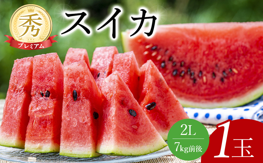 241.プレミアムスイカ 1玉 ※5月下旬～8月中旬頃に順次発送予定（こちらの返礼品は、大栄西瓜ではありません）【西瓜 スイカ 果物 フルーツ くだもの 鳥取県 北栄町 おすすめ 人気 送料無料】