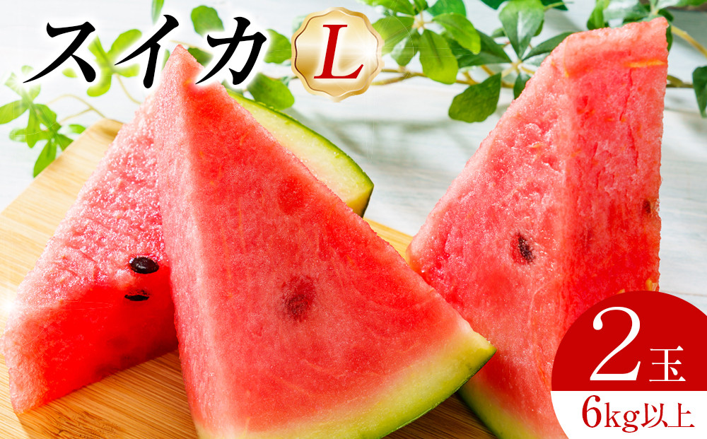 242.【先行予約】スイカL 2玉 6kg以上2玉 ※6月上旬～8月中旬頃に順次発送予定（こちらの返礼品は、大栄西瓜ではありません）【西瓜 スイカ 果物 フルーツ くだもの 鳥取県 北栄町 おすすめ 人気 送料無料】