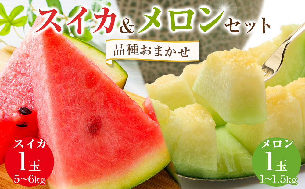 252.【品種はおまかせ】スイカ(5～6kg×1玉)＋メロン(1～1.5kg前後×1玉)セット鳥取県産 ※6月上旬～7月下旬頃に順次発送予定（こちらの返礼品は、大栄西瓜ではありません）【西瓜 スイカ メロン セット商品  果物 フルーツ くだもの 鳥取県 北栄町 おすすめ 人気 送料無料】