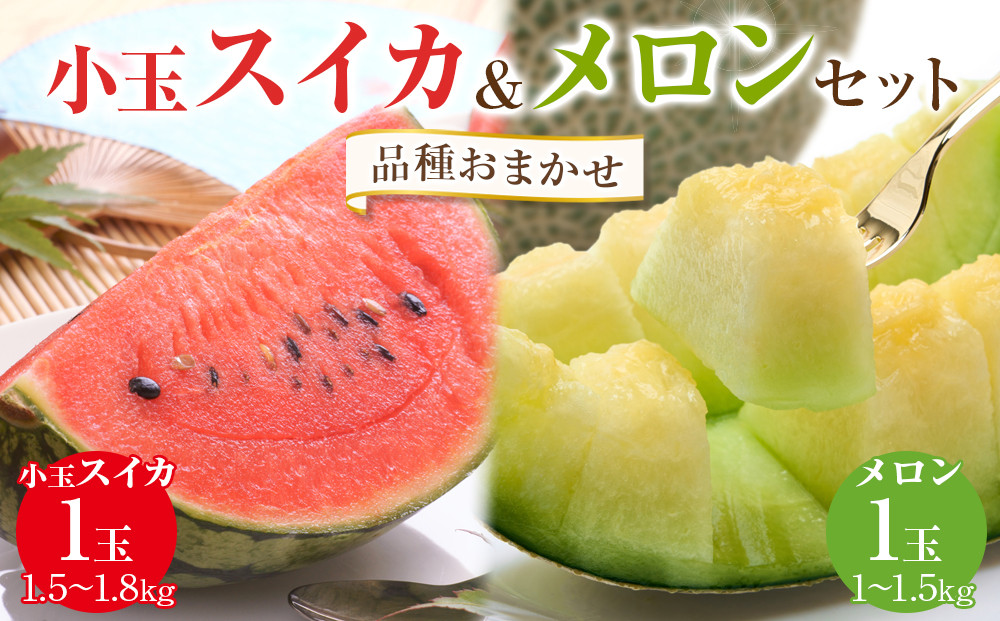 255.【品種はおまかせ】小玉スイカ1玉とメロン1玉セット  ※6月上旬～7月中旬頃に順次発送予定【西瓜 スイカ メロン セット商品  果物 フルーツ くだもの 鳥取県 北栄町 おすすめ 人気 送料無料】