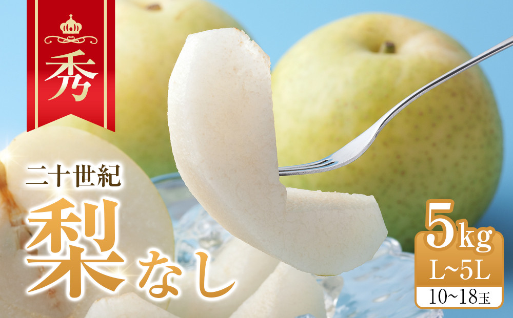 279.【先行予約】二十世紀梨 秀5kg L～5L 10～18玉前後 ※2025年8月下旬～9月下旬頃に順次発送予定【先行予約 梨 なし 果物 フルーツ くだもの 鳥取県 北栄町 おすすめ 人気 送料無料】