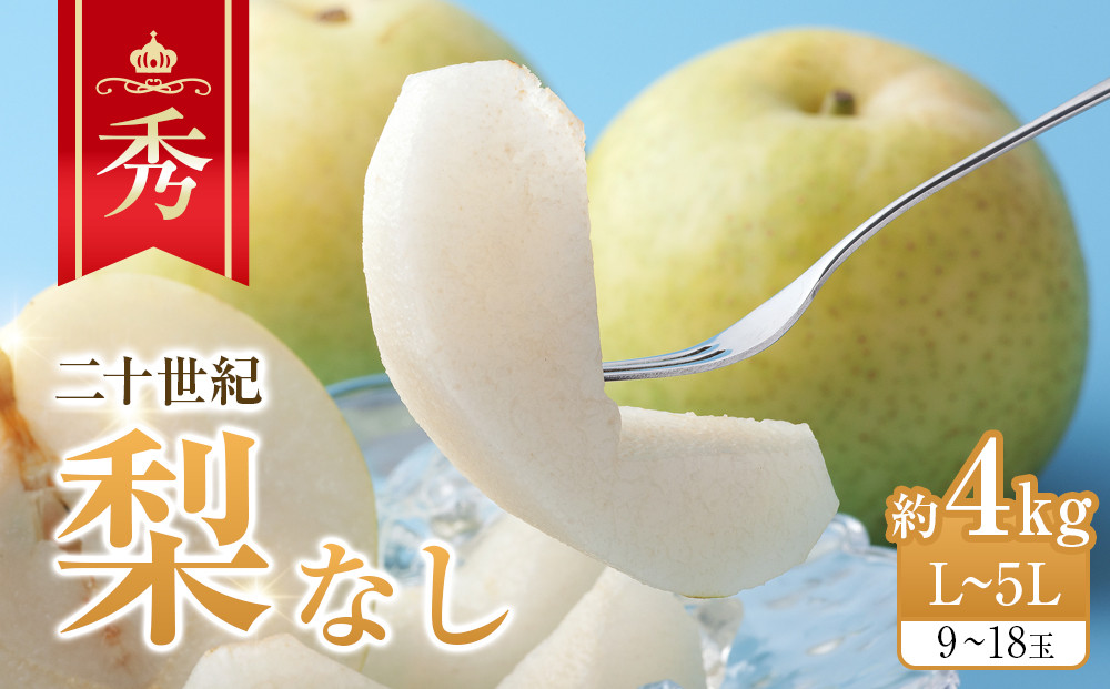 280.【先行予約】二十世紀梨&nbsp;秀&nbsp;約4kg&nbsp;L～5L&nbsp;9～18玉前後&nbsp;※2026年8月下旬～9月下旬頃に順次発送予定【先行予約&nbsp;梨&nbsp;なし&nbsp;果物&nbsp;フルーツ&nbsp;くだもの&nbsp;鳥取県&nbsp;北栄町&nbsp;おすすめ&nbsp;人気&nbsp;送料無料】