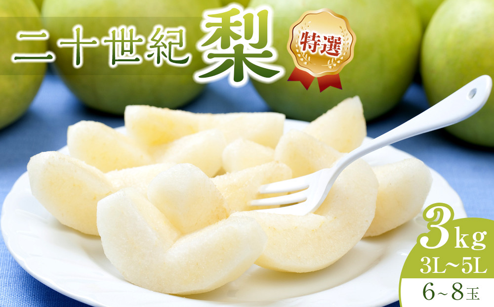 281.【先行予約】二十世紀梨&nbsp;特選&nbsp;3kg&nbsp;3Ｌ～5Ｌ&nbsp;6～8玉前後&nbsp;※2026年8月下旬～9月下旬頃に順次発送予定&nbsp;【先行予約&nbsp;梨&nbsp;なし&nbsp;果物&nbsp;フルーツ&nbsp;くだもの&nbsp;鳥取県&nbsp;北栄町&nbsp;おすすめ&nbsp;人気&nbsp;送料無料】