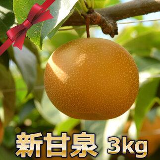 291.【先行予約】新甘泉　3kg前後（3～12玉前後）｜梨 なし 新甘泉 しんかんせん ◇※2025年8月下旬～9月下旬頃に順次発送予定