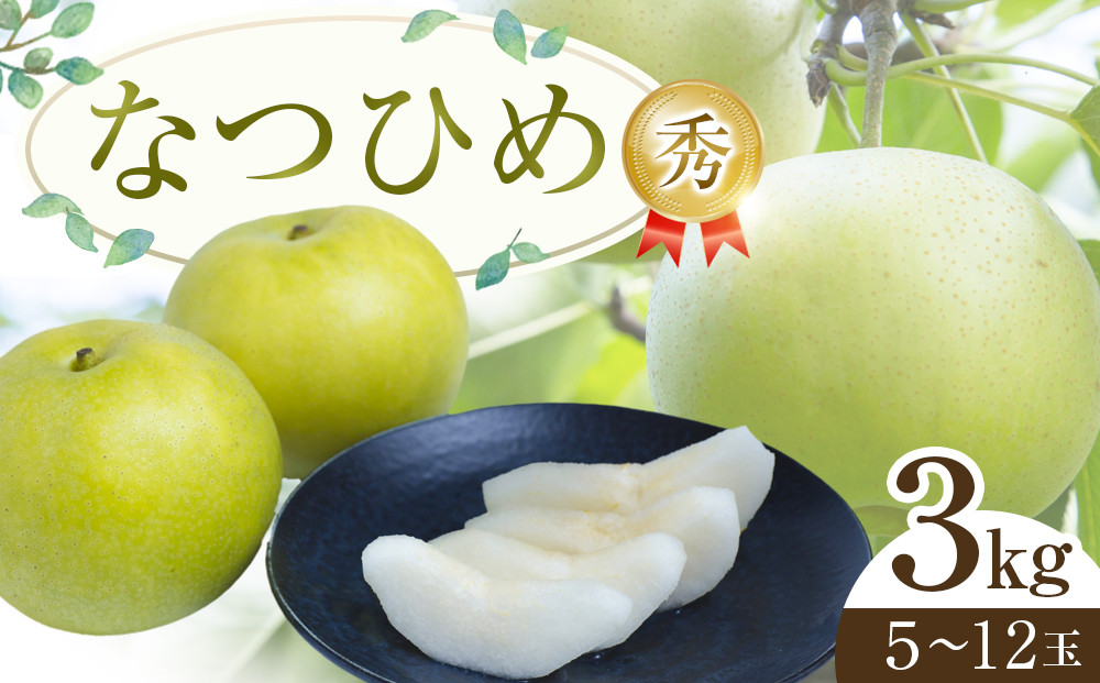 300.【先行予約】なつひめ ※2026年8月中旬～9月上旬頃に順次発送予定【先行予約 梨 なし 果物 フルーツ くだもの 鳥取県 北栄町 おすすめ 人気 送料無料】