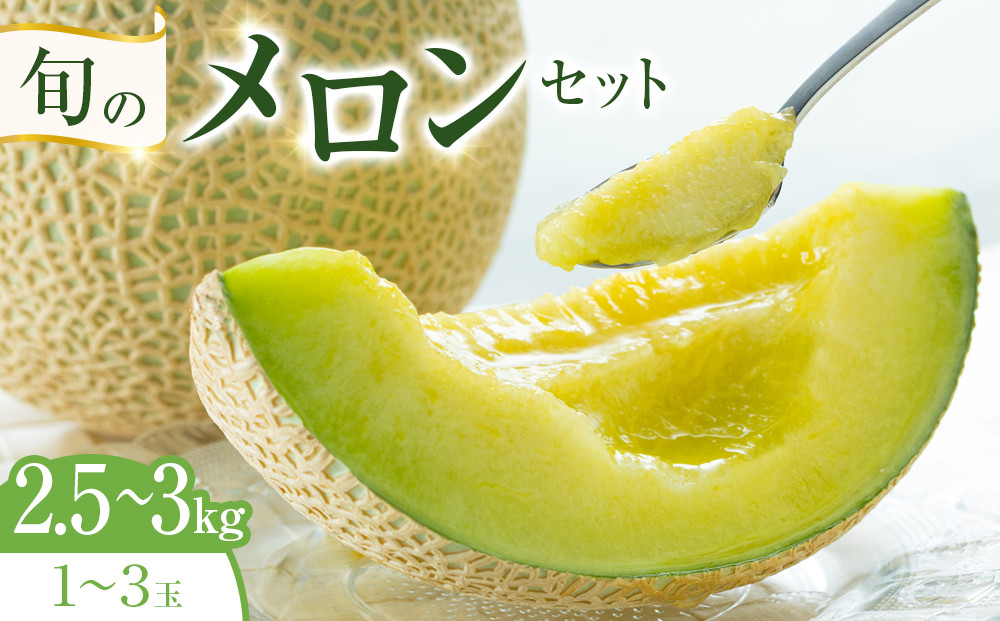 318.旬のメロンセット  ※6月上旬～7月下旬頃に順次発送予定【メロン 果物 フルーツ くだもの 鳥取県 北栄町 おすすめ 人気 送料無料】
