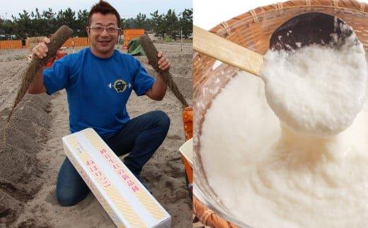 321.≪先行受注≫&nbsp;ねばりっこ&nbsp;3～4本&nbsp;※2025年11月上旬～2026年4月中旬頃に順次発送予定【野菜&nbsp;やさい&nbsp;根菜&nbsp;とろろ&nbsp;長芋&nbsp;芋&nbsp;いも&nbsp;鳥取県&nbsp;北栄町&nbsp;おすすめ&nbsp;人気&nbsp;送料無料】