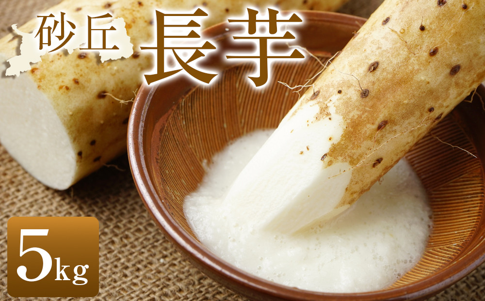 322.≪先行受注≫ 砂丘長芋　5kg ※2025年11月上旬～2026年3月下旬頃に順次発送予定