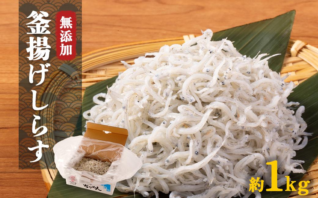獲れたてピチピチ！茹でたてプリプリ！ 大正の無添加釜揚げしらす1キロ