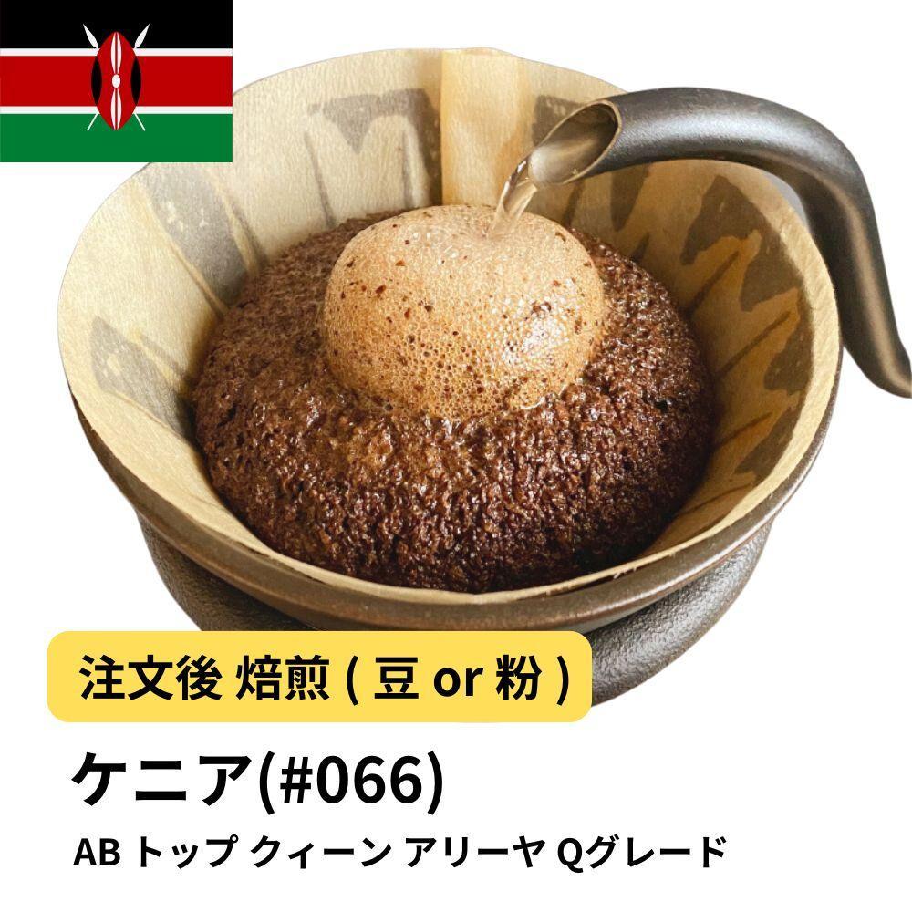 【豆】コーヒー #066 ケニア AB トップ クィーン アリーヤ Qグレード 310g 当日焙煎 大山珈琲