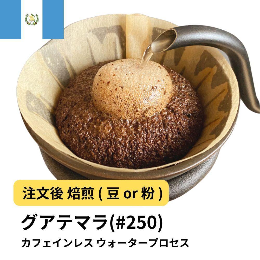 【豆】コーヒー&nbsp;#250&nbsp;グアテマラ&nbsp;デカフェ&nbsp;ウォータープロセス&nbsp;310g&nbsp;当日焙煎&nbsp;大山珈琲