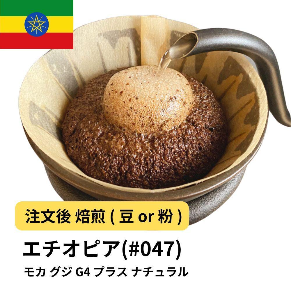 【粉】コーヒー #047 モカ グジ G4 プラス ナチュラル 310g 当日焙煎 大山珈琲