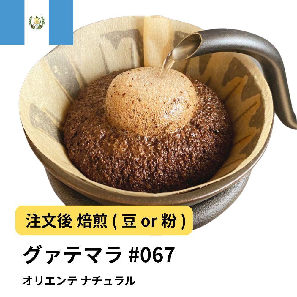 【粉】コーヒー #067 グアテマラ オリエンテ ナチュラル 310g 当日焙煎 大山珈琲