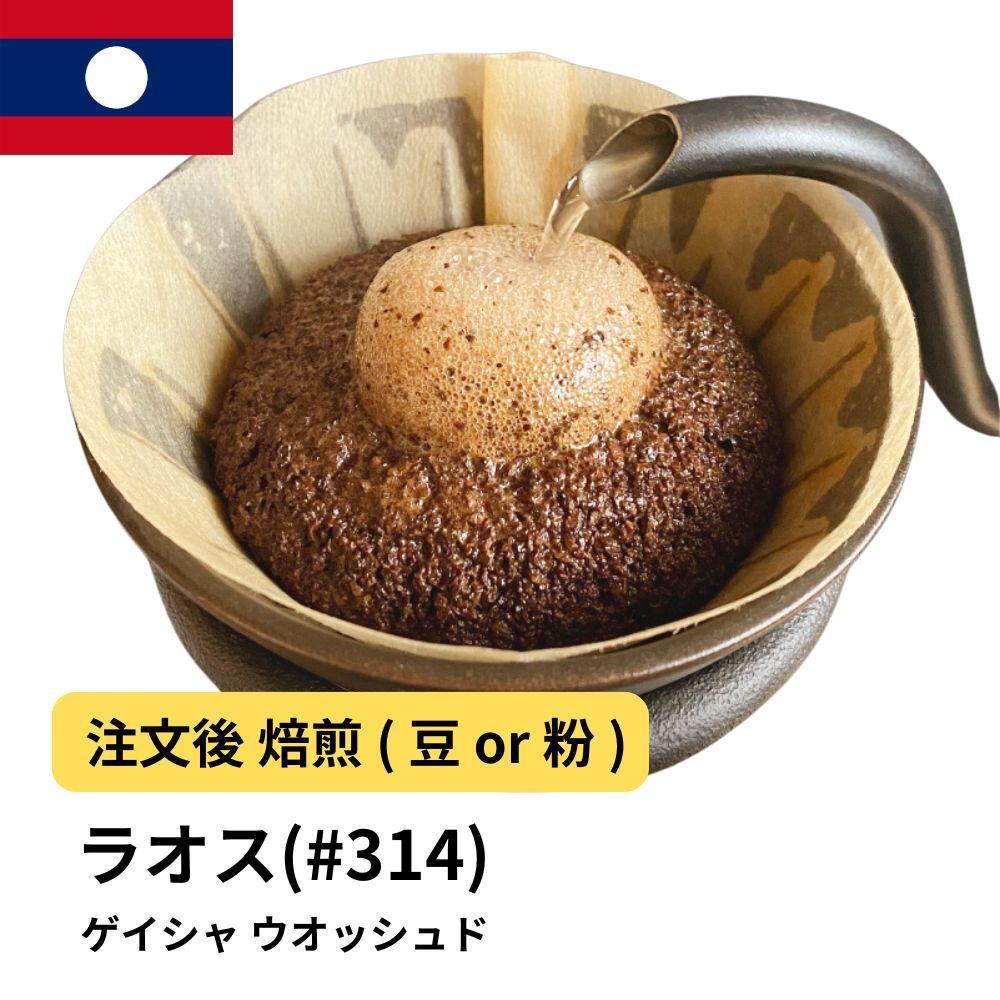 【粉】コーヒー&nbsp;#314&nbsp;ラオス&nbsp;ゲイシャ100%&nbsp;ウオッシュド&nbsp;310g&nbsp;当日焙煎&nbsp;大山珈琲