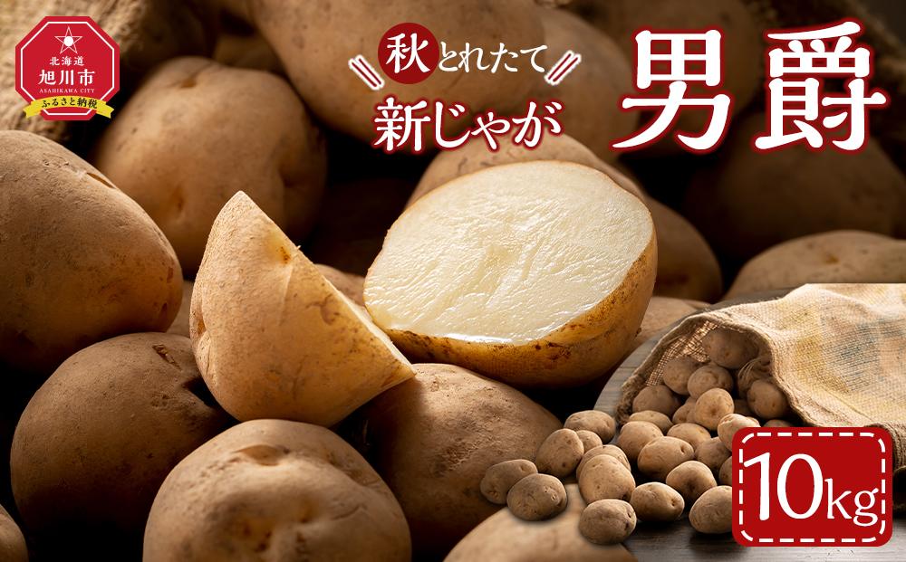 【先行予約】2025年10月より発送　新じゃが　男爵いも　10kg　北海道産のじゃがいも 【 じゃがいも いも イモ 芋 野菜 産地直送 旬 お取り寄せ 旭川市 北海道 】_04858