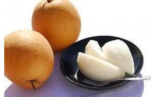 王秋梨 2.5kg【たにがみ農園】