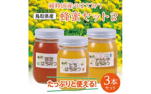 蜂蜜セット B