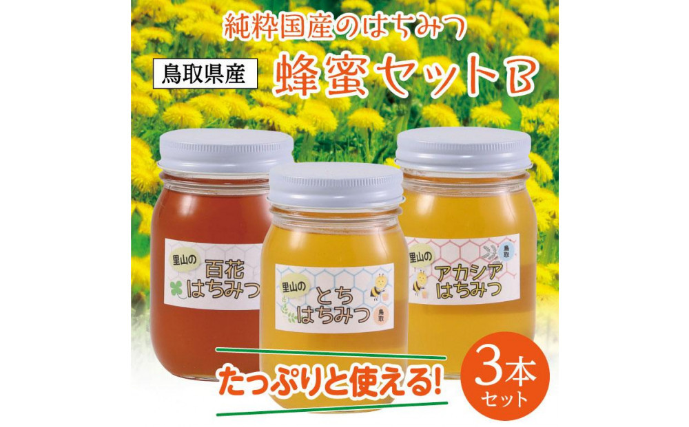 蜂蜜セット&nbsp;B