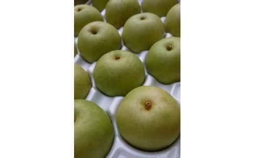 二十世紀梨&nbsp;2.5kg【たにがみ農園】