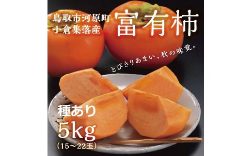 富有柿 5kg箱 (L～2Lサイズ)
