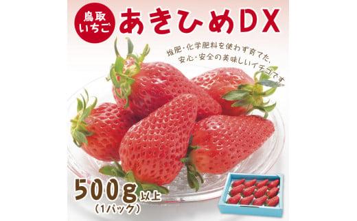 あきひめDX 500g 鳥取いちご【とみハウス】