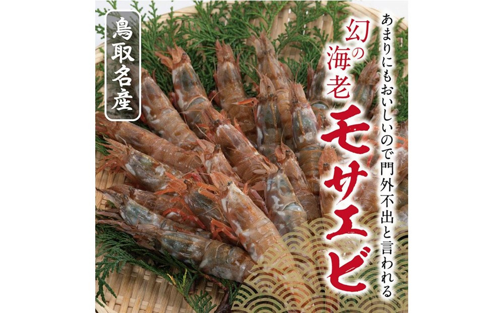 鳥取産&nbsp;冷凍モサエビ
