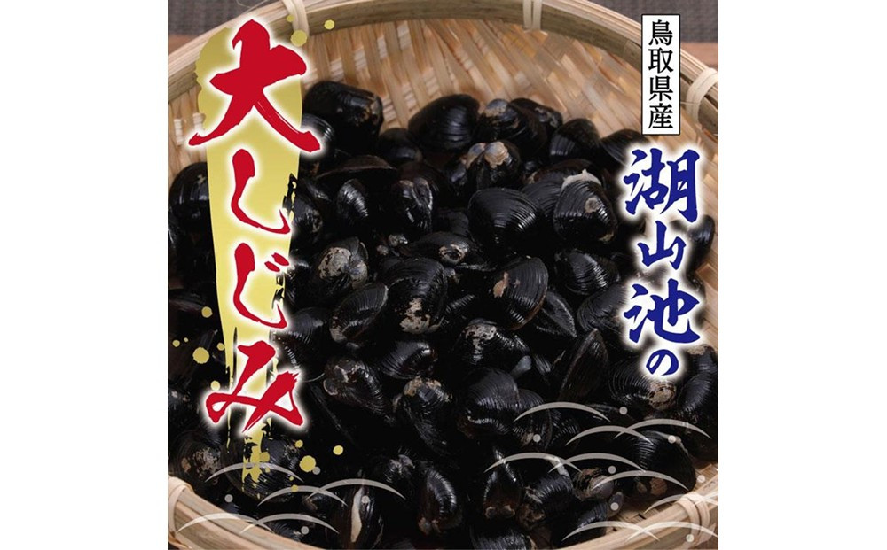 湖山池の大しじみ