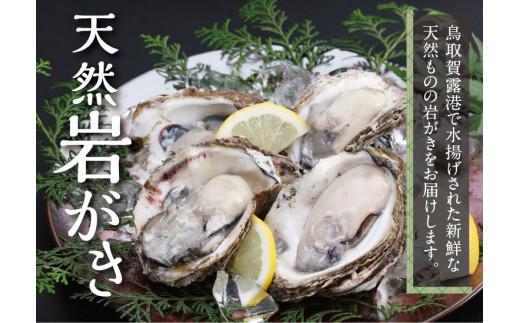 鳥取賀露港 天然岩がきセット【かねまさ・浜下商店】
