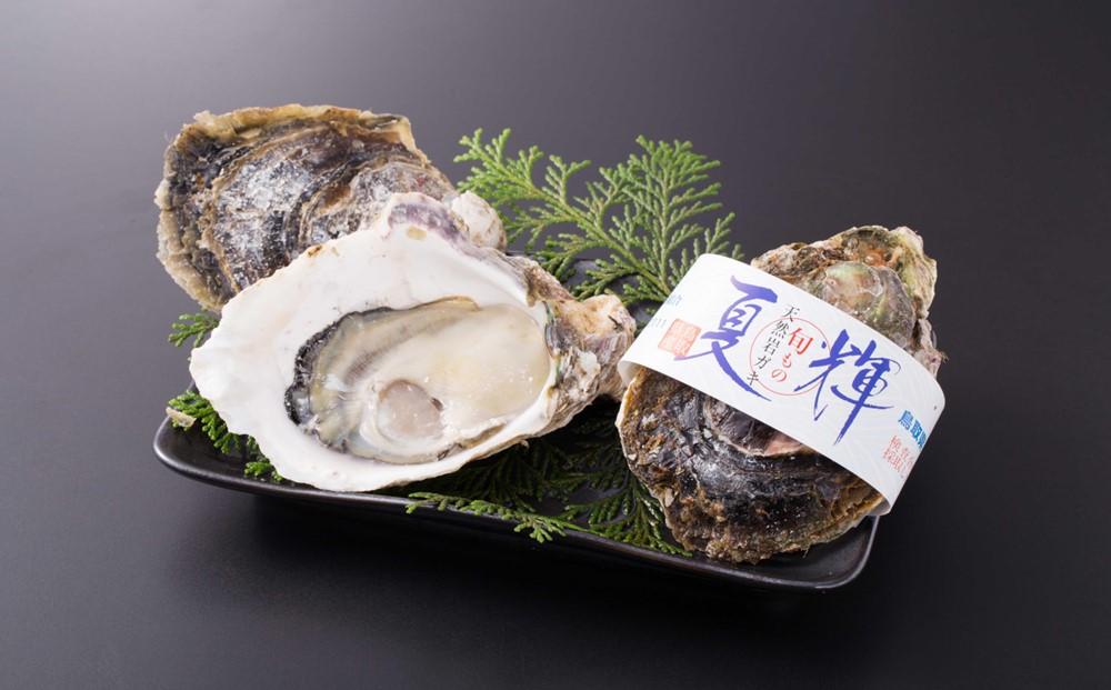 鳥取賀露港 天然岩がき「夏輝」セット【かねまさ・浜下商店】
