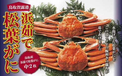 鳥取賀露港 浜茹で松葉がに【かねまさ・浜下商店】