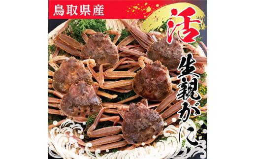 鳥取県産&nbsp;活親がに&nbsp;大(訳あり)【中村商店】