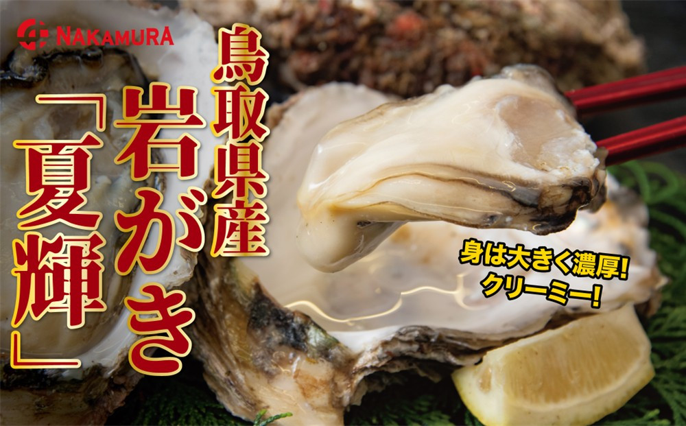 鳥取県産&nbsp;岩がき「夏輝」【中村商店】