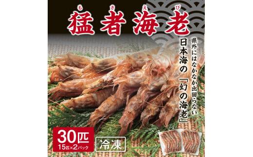 猛者海老 15匹×2パックセット【山根商店】