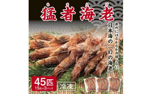 猛者海老 15匹×3パックセット【山根商店】